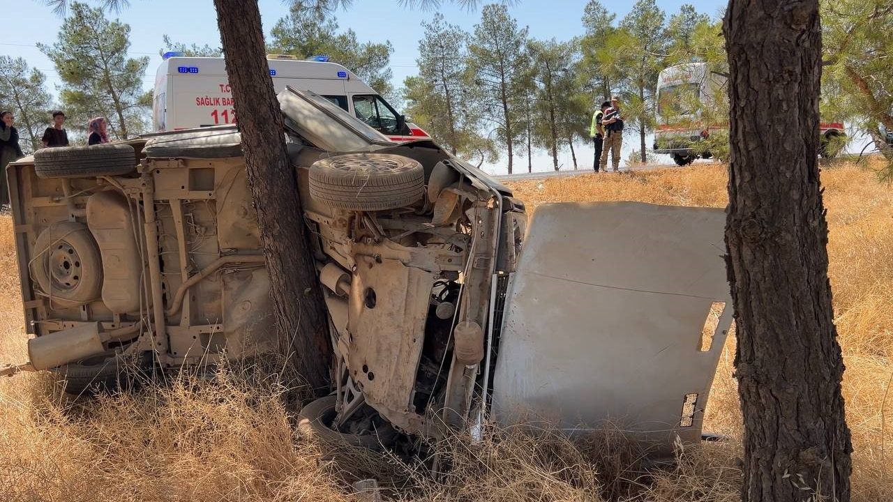 Feci kaza! Hızını alamadı ağaca girdi